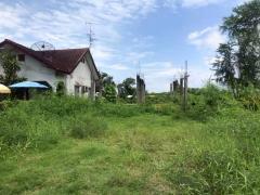 Vายที่ดินวงแหวนกาญจนาภิเษก 85 ตารางวา ติดถนนลาดยาง ถมแล้ว ซอย ประชาอุทิศ 76 เขตทุ่งครุ กทม.-202510271914421761567282938.jpeg