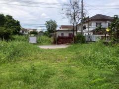 Vายที่ดินวงแหวนกาญจนาภิเษก 85 ตารางวา ติดถนนลาดยาง ถมแล้ว ซอย ประชาอุทิศ 76 เขตทุ่งครุ กทม.-202510271914431761567283465.jpeg