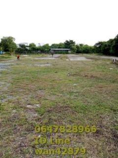 ขายที่ดินเปล่าพื้นที่สีม่วงลาย ในนิคมเอเชียมาบตาพุด ระยอง -202510272125271761575127929.jpg