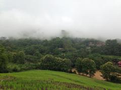 ขายบ้านพร้อมที่ดิน 7 ไร่ เนี้อที่ใช้สอย 700 ตร.มอยู่ตำบลแคมป์สน อำเภอเขาค้อ-202510272150401761576640172.jpg