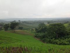 ขายบ้านพร้อมที่ดิน 7 ไร่ เนี้อที่ใช้สอย 700 ตร.มอยู่ตำบลแคมป์สน อำเภอเขาค้อ-202510272150411761576641111.jpg