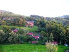 ขายบ้านพร้อมที่ดิน 7 ไร่ เนี้อที่ใช้สอย 700 ตร.มอยู่ตำบลแคมป์สน อำเภอเขาค้อ-202510272151091761576669877.jpg