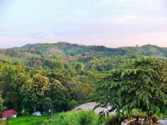 ขายบ้านพร้อมที่ดิน 7 ไร่ เนี้อที่ใช้สอย 700 ตร.มอยู่ตำบลแคมป์สน อำเภอเขาค้อ-202510272151101761576670602.jpg