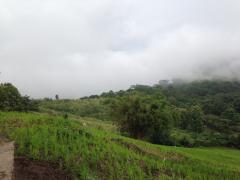 ขายบ้านพร้อมที่ดิน 7 ไร่ เนี้อที่ใช้สอย 700 ตร.มอยู่ตำบลแคมป์สน อำเภอเขาค้อ-202510272151111761576671090.jpg