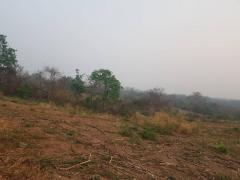 พรีเซ้นทรัพย์ทำเลทองใกล้สิ้นปี ธรรมชาติเนินเขา ที่ดินโฉนดแบ่งขาย หล่มเก่า เพชรบูรณ์ ใกล้ภูทับเบิก โทร 0968821857