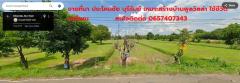 ขายที่ดินบุรีรัมย์ 10ไร่ โซนประโคนชัย ใกล้ปตท.ประโคนชัย(ขาเข้า)