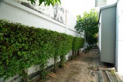 Vายบ้านเดี่ยว หลังริม ชัยพฤกษ์ บางใหญ่ เฟส 4 ต้นซอยคลองถนน ใกล้เซ็นทรัลเวสต์เกต-202510280703271761609807464.jpg