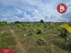 ขายที่ดิน เนื้อที่ 2 ไร่ 2 งาน จันทนิมิต จันทบุรี-202510280858011761616681526.jpg