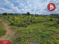 ขายที่ดิน เนื้อที่ 2 ไร่ 2 งาน จันทนิมิต จันทบุรี-202510280858031761616683494.jpg