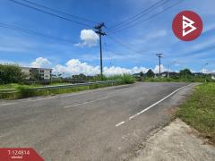 ขายที่ดิน เนื้อที่ 2 ไร่ 2 งาน จันทนิมิต จันทบุรี-202510280858051761616685404.jpg