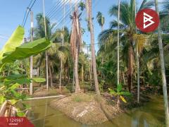 ขายที่ดินสวนมะพร้าว เนื้อที่ 2 ไร่ 57 ตารางวา ท่าตลาด สามพราน นครปฐม-202510280909591761617399557.jpg