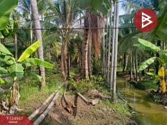 ขายที่ดินสวนมะพร้าว เนื้อที่ 2 ไร่ 57 ตารางวา ท่าตลาด สามพราน นครปฐม-202510280910001761617400621.jpg