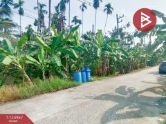 ขายที่ดินสวนมะพร้าว เนื้อที่ 2 ไร่ 57 ตารางวา ท่าตลาด สามพราน นครปฐม-202510280910011761617401156.jpg