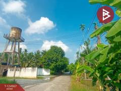 ขายที่ดินสวนมะพร้าว เนื้อที่ 2 ไร่ 57 ตารางวา ท่าตลาด สามพราน นครปฐม-202510280910011761617401680.jpg