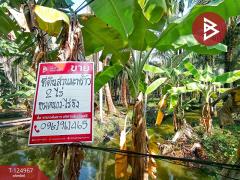 ขายที่ดินสวนมะพร้าว เนื้อที่ 2 ไร่ 57 ตารางวา ท่าตลาด สามพราน นครปฐม-202510280910021761617402219.jpg