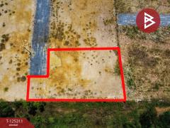 ขายที่ดิน เนื้อที่ 2 งาน เลาขวัญ กาญจนบุรี-202510280914171761617657101.jpg