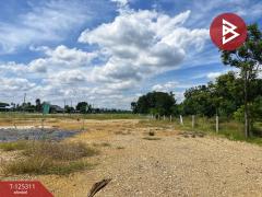 ขายที่ดิน เนื้อที่ 2 งาน เลาขวัญ กาญจนบุรี-202510280914171761617657635.jpg