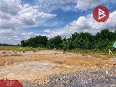 ขายที่ดิน เนื้อที่ 2 งาน เลาขวัญ กาญจนบุรี-202510280914181761617658166.jpg