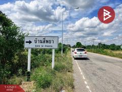 ขายที่ดิน เนื้อที่ 2 งาน เลาขวัญ กาญจนบุรี-202510280914181761617658701.jpg