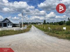 ขายที่ดิน เนื้อที่ 2 งาน เลาขวัญ กาญจนบุรี-202510280914191761617659252.jpg