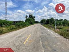 ขายที่ดิน เนื้อที่ 2 งาน เลาขวัญ กาญจนบุรี-202510280914191761617659783.jpg