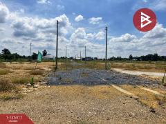 ขายที่ดิน เนื้อที่ 2 งาน เลาขวัญ กาญจนบุรี-202510280914201761617660324.jpg