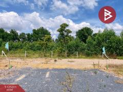 ขายที่ดิน เนื้อที่ 2 งาน เลาขวัญ กาญจนบุรี-202510280914201761617660858.jpg