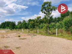 ขายที่ดิน เนื้อที่ 2 งาน เลาขวัญ กาญจนบุรี-202510280914211761617661390.jpg