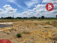 ขายที่ดิน เนื้อที่ 2 งาน เลาขวัญ กาญจนบุรี-202510280914211761617661942.jpg