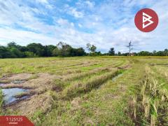 ขายที่ดิน เนื้อที่ 8 ไร่ 2 งาน 51 ตร.วา หาดคำ หนองคาย