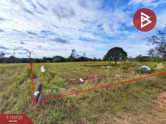 ขายที่ดิน เนื้อที่ 8 ไร่ 2 งาน 51 ตร.วา หาดคำ หนองคาย-202510281000511761620451973.jpg