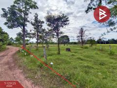 ขายที่ดิน เนื้อที่ 8 ไร่ 2 งาน 51 ตร.วา หาดคำ หนองคาย-202510281000521761620452619.jpg