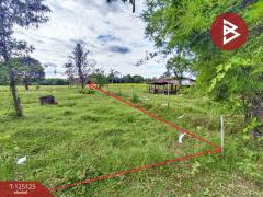 ขายที่ดิน เนื้อที่ 8 ไร่ 2 งาน 51 ตร.วา หาดคำ หนองคาย-202510281000531761620453239.jpg