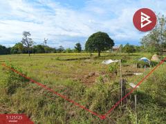 ขายที่ดิน เนื้อที่ 8 ไร่ 2 งาน 51 ตร.วา หาดคำ หนองคาย-202510281000561761620456480.jpg