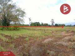 ขายที่ดิน เนื้อที่ 8 ไร่ 2 งาน 51 ตร.วา หาดคำ หนองคาย-202510281000571761620457042.jpg