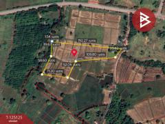 ขายที่ดิน เนื้อที่ 8 ไร่ 2 งาน 51 ตร.วา หาดคำ หนองคาย-202510281000571761620457574.jpg