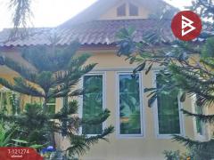 ขายบ้านเดี่ยว เนื้อที่ 1 งาน 20.6 ตารางวา เมือง ชัยนาท-202510281011001761621060069.jpg