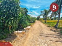 ขายบ้านเดี่ยว เนื้อที่ 1 งาน 20.6 ตารางวา เมือง ชัยนาท-202510281011051761621065399.jpg