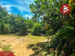 ขายบ้านเดี่ยว เนื้อที่ 1 งาน 20.6 ตารางวา เมือง ชัยนาท-202510281011051761621065943.jpg