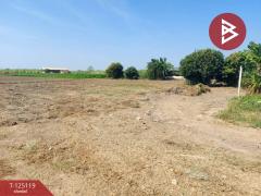 ขายที่ดิน-เนื้อที่-1-ไร่-95-ตร.วา-บ้านโป