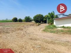 ขายที่ดิน เนื้อที่ 1 ไร่ 95 ตร.วา บ้านโป่ง ราชบุรี-202510281014481761621288833.jpg