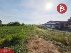 ขายที่ดิน เนื้อที่ 1 ไร่ 95 ตร.วา บ้านโป่ง ราชบุรี-202510281014501761621290474.jpg