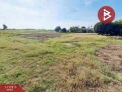 ขายที่ดิน เนื้อที่ 1 ไร่ 95 ตร.วา บ้านโป่ง ราชบุรี-202510281014511761621291024.jpg