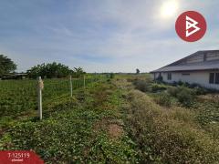 ขายที่ดิน เนื้อที่ 1 ไร่ 95 ตร.วา บ้านโป่ง ราชบุรี-202510281014521761621292138.jpg