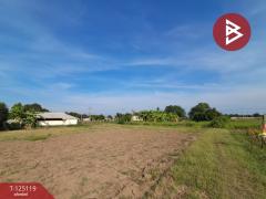 ขายที่ดิน เนื้อที่ 1 ไร่ 95 ตร.วา บ้านโป่ง ราชบุรี-202510281014531761621293260.jpg