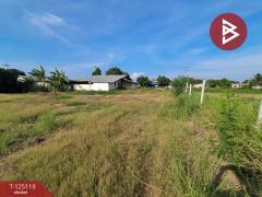 ขายที่ดิน เนื้อที่ 1 ไร่ 95 ตร.วา บ้านโป่ง ราชบุรี-202510281014541761621294333.jpg