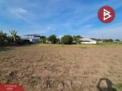 ขายที่ดิน เนื้อที่ 1 ไร่ 95 ตร.วา บ้านโป่ง ราชบุรี-202510281014551761621295430.jpg