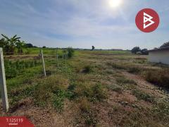 ขายที่ดิน เนื้อที่ 1 ไร่ 95 ตร.วา บ้านโป่ง ราชบุรี-202510281014551761621295985.jpg