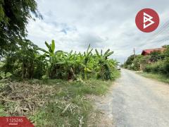 ขายที่ดิน เนื้อที่ 99 ตร.วา บางบัวทอง นนทบุรี-202510281017481761621468223.jpg