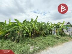 ขายที่ดิน เนื้อที่ 99 ตร.วา บางบัวทอง นนทบุรี-202510281017491761621469363.jpg